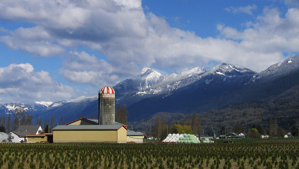 B.C. farmers and food processors growing economy, more local foods